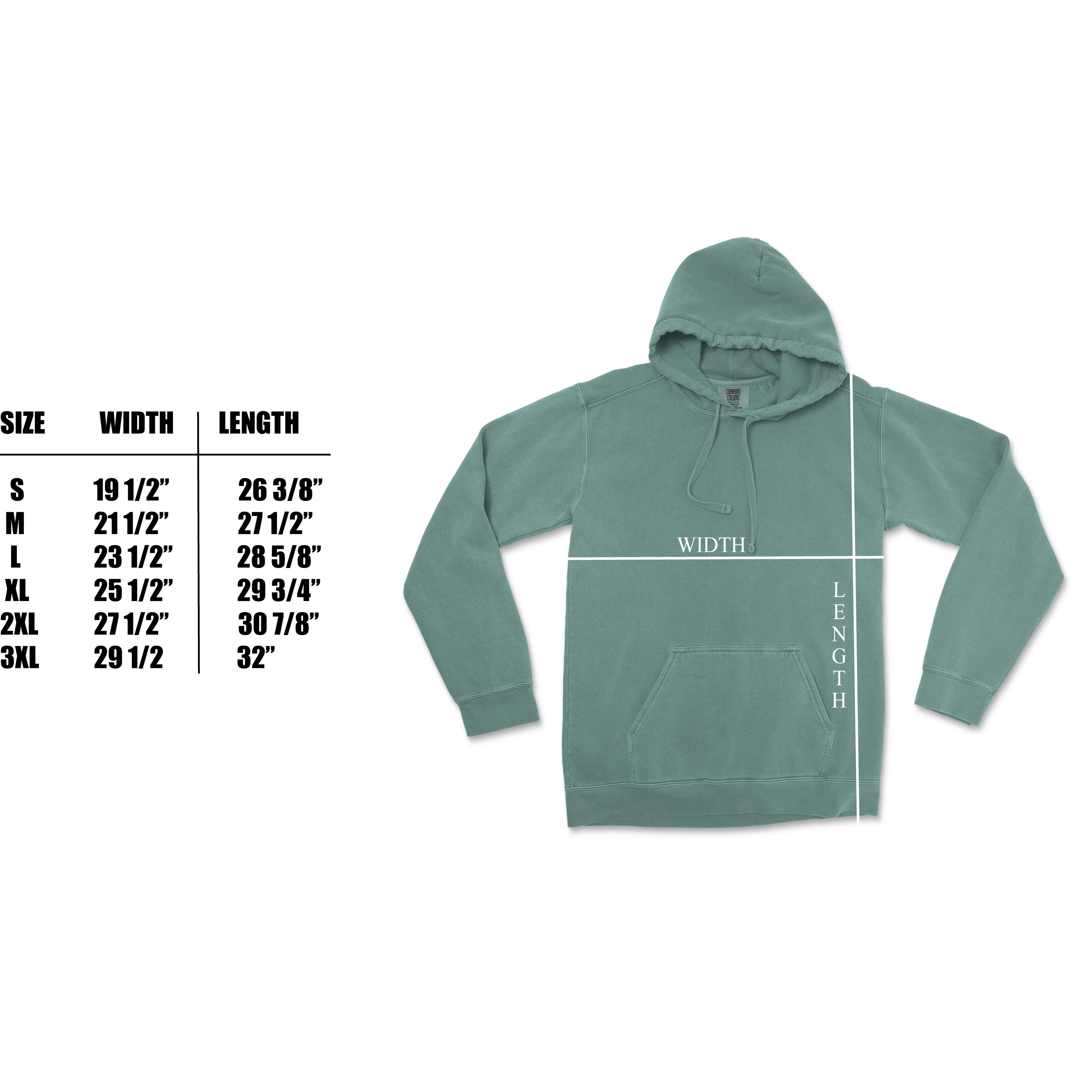 Denali National Park Comfort Colors Hoodie