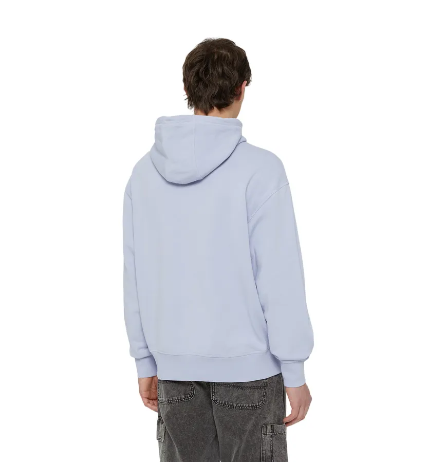 Dickies Millersburg Hoodie DK0A4YLYH181 Wisteria